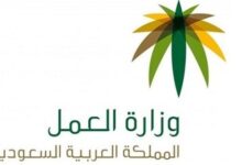 الجنسيات المستثناه من تطبيق أنظمة العمل