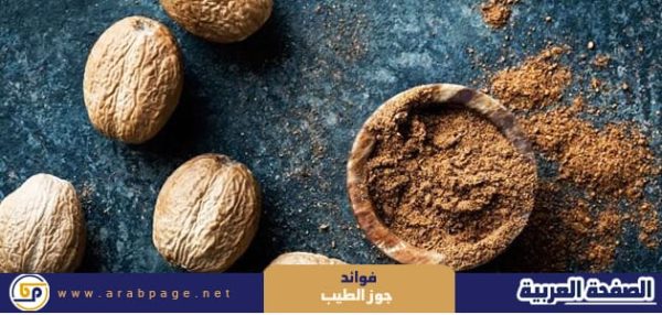 فوائد جوز الطيب ماهو جوز الطيب بالصور 2024 البشرة الشعر