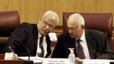 رئيس الجامعة العربية يدعو المجتمع الدولى بالتحرك ضد إسرائيل 6