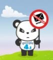 [Google Panda 4.1] المواقع المتضررة والمستفيده من تحديث جوجل باندا 4.1 سيو