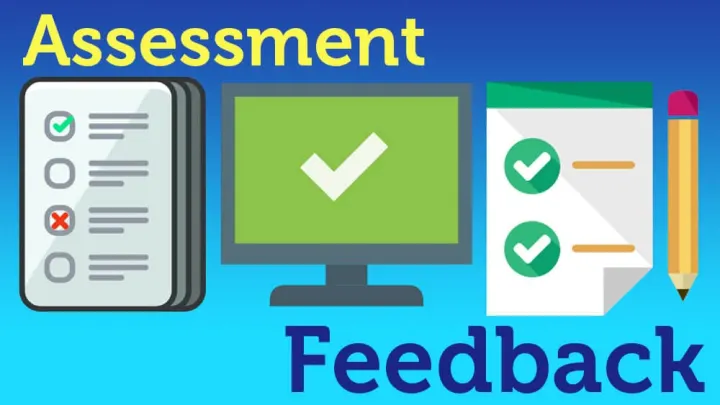 معنى كلمة اسايمنت Assiment