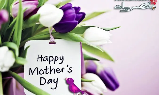 مسجات , صور عيد الام 2015, مناسبة عيد الام 2015 , عيد الأم رسائل 2015