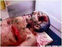 نفي خبر مقتل الزعيم علي عبدالله صالح الرئيس السابق لليمن, موت علي عبدالله صالح , المخلوع علي صالح