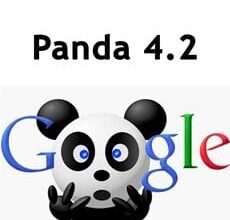 [Google Panda 4.2] تحديث جوجل باندا 4.2 بشكل بطيء جداً 7