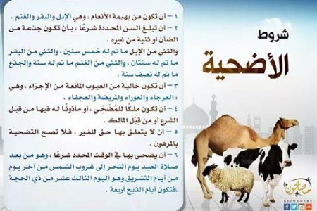 قبل موعد عيد الاضحى 2018 شروط الأضحية لمن اراد ان يضحي