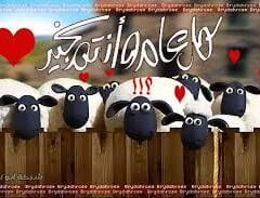 تهنئة رسائل عيد الأصحى 2026 مسجات بمناسبة عيد الاضحى الحج 1447