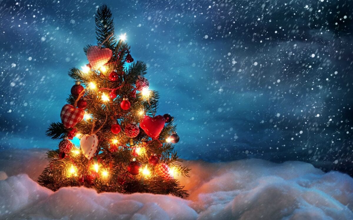 Christmas-Tree-Design-Decor-Items-Accessorie-Ideas-Christmas-2015-12
