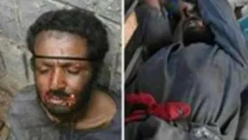 صور مصاص الدماء في اليمن مصاص دماء الحيوانات