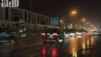 برد وثلج, أمطار الرياض