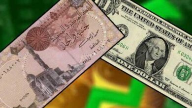 ارتفاع سعر صرف الدولار اليوم الى 17 جنيه من اسعار الدولار اليوم في مصر 21 نوفمبر 2016 4