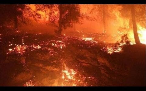 صور جديدة اسرائيل تحترق بعد منعهم الأذان في القدس