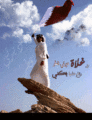 بالصور احتفالات اليوم الوطني القطري بعض صور رومزيات العيد الوطني القطري 1