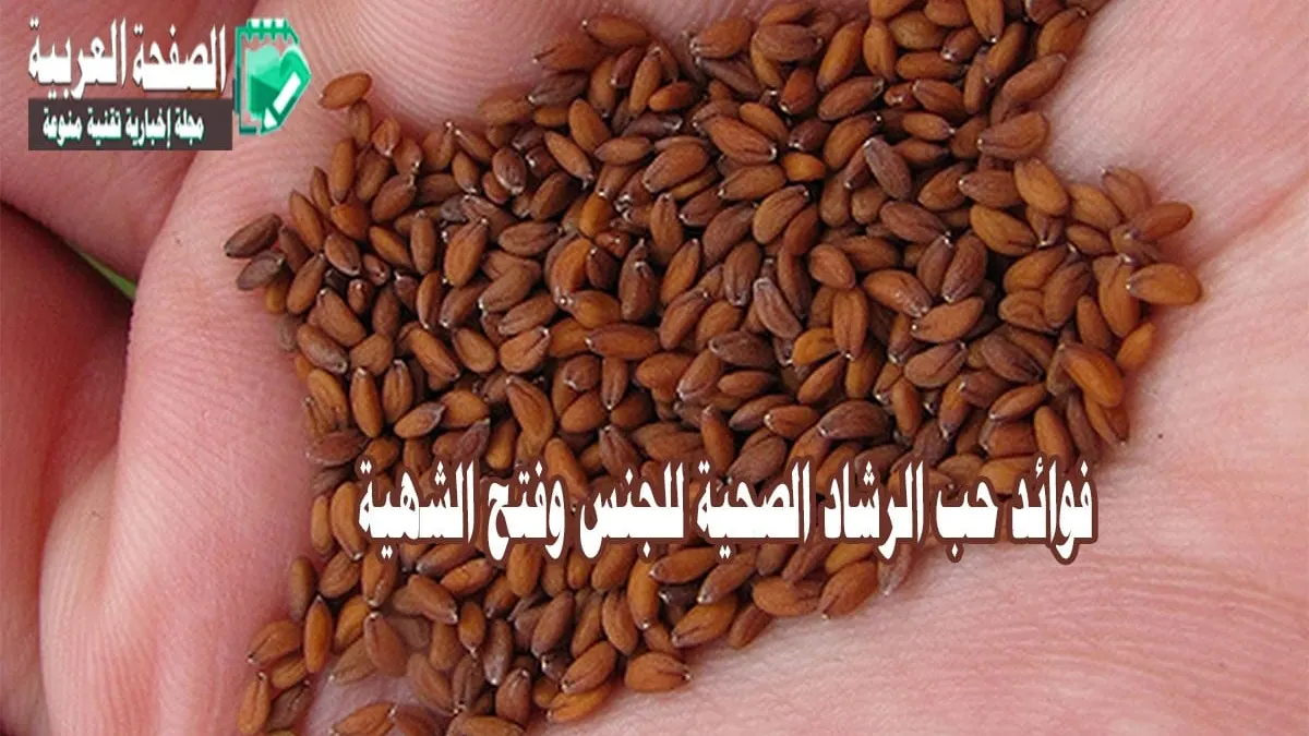 ماهي فوائد حب الرشاد زيادة الرغبة الجنسية 2024