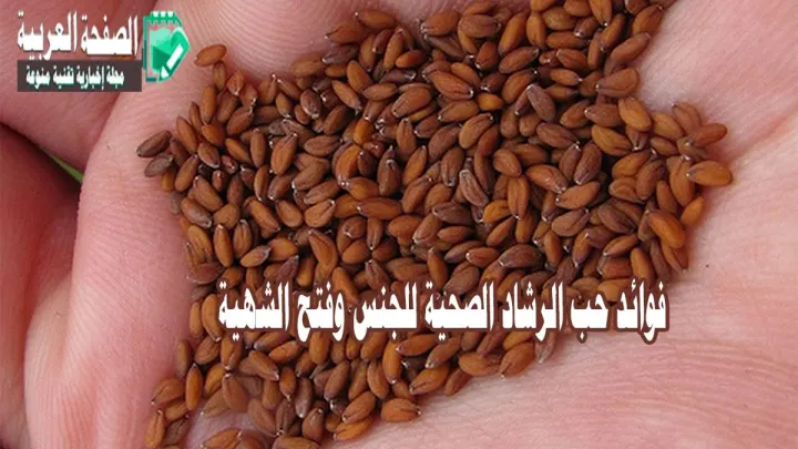 ماهي فوائد حب الرشاد زيادة الرغبة الجنسية 2024