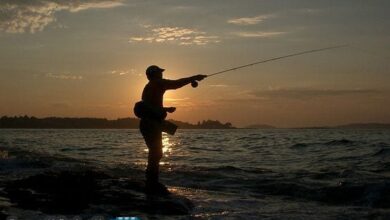 تفسير حلم صيد السمك وماهو تفسير رؤية السمك والصيد في المنام 3