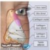 عملية تجميل الأنف افضل طريقة وصفه علاج Rhinoplasty