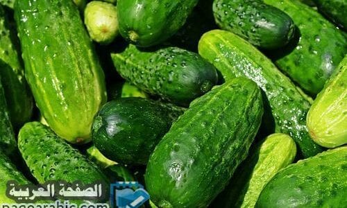 تفسير رؤية الخيار في المنام سواء كان اكل او تنظيف او تقطيع