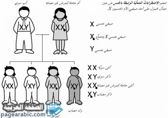 سبب مرض نيمان بيك