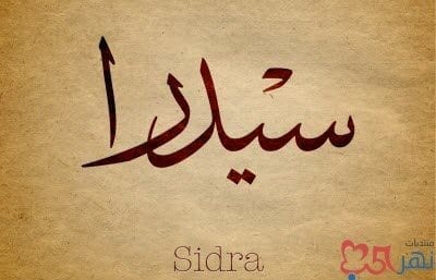 معنى اسم سدرا بالعربي واصل اسم سيدار