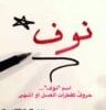 معنى اسم نوف بالانجليزي دلع اسم نوف Nouf