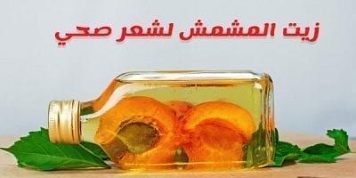 طرق لاستخدام زيت المشمش لتكثيف مضاعف للشعر
