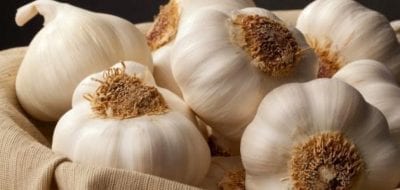فوائد الثوم العامة