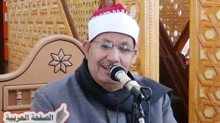 محمد السيد ضيف