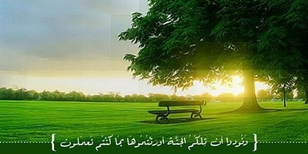 تفسير رؤية الجنة في المنام