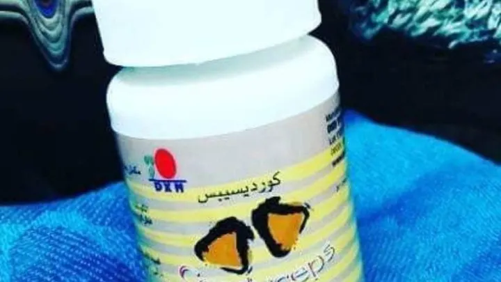 فطر الكورديسبس اوالفطر اليرقي منتجات شركة dxn