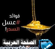 أسعار العسل اليمني الأصلي افضل انواع العسل اليمني 2024