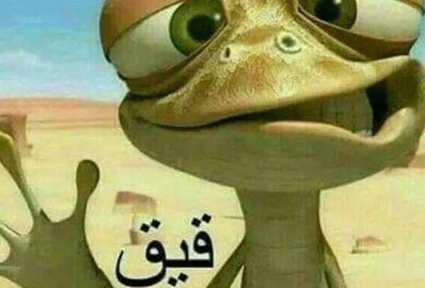 معنى كلمة تعرف تقول قيق