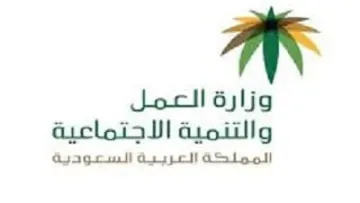 استعلام عن نطاق مؤسسة