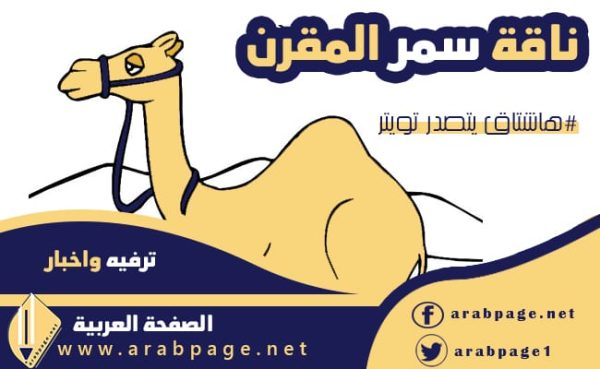 ناقة سمر المقرن لقحت من هي سمر المقرن انستقرام 2021