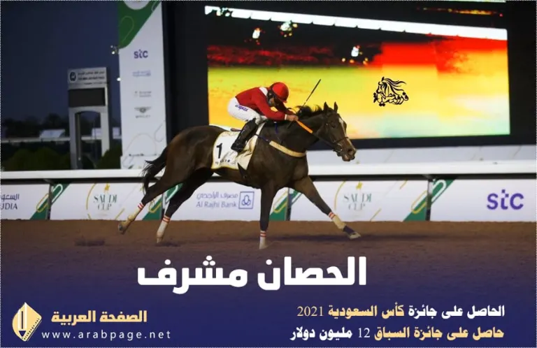 صور الحصان مشرف لـ الأمير عبدالرحمن بن عبدالله الفيصل
