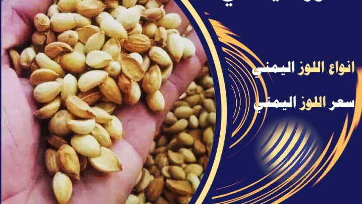 اسعار اللوز اليمني في السعودية انواع اللوز Yemeni almonds