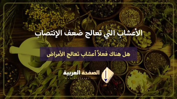 الأعشاب التي تعالج ضعف الإنتصاب بشكل كامل العلاج الطبيعي