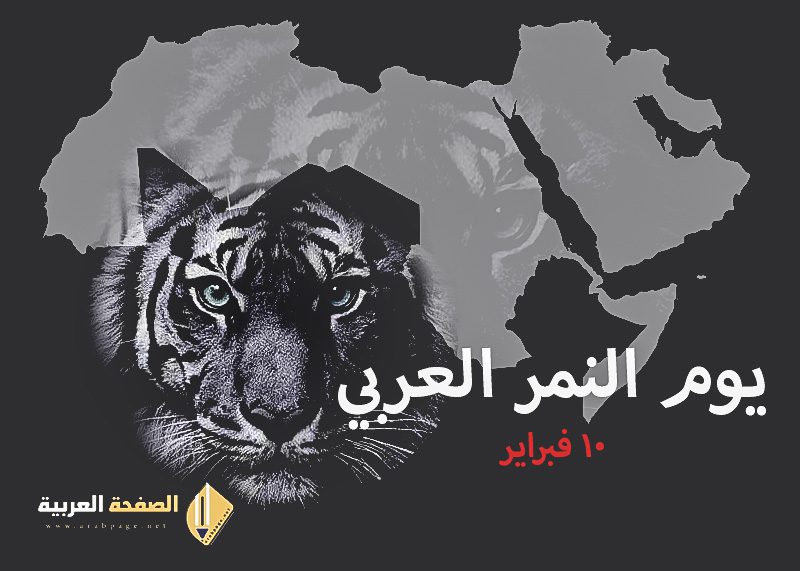 ماهو يوم النمر العربي ومتى موعده Arab Tiger Day 1