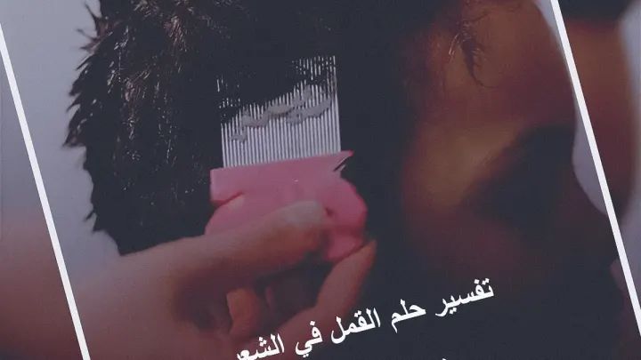 تفسير حلم القمل في الشعر وقتله للمتزوجه والعزباء