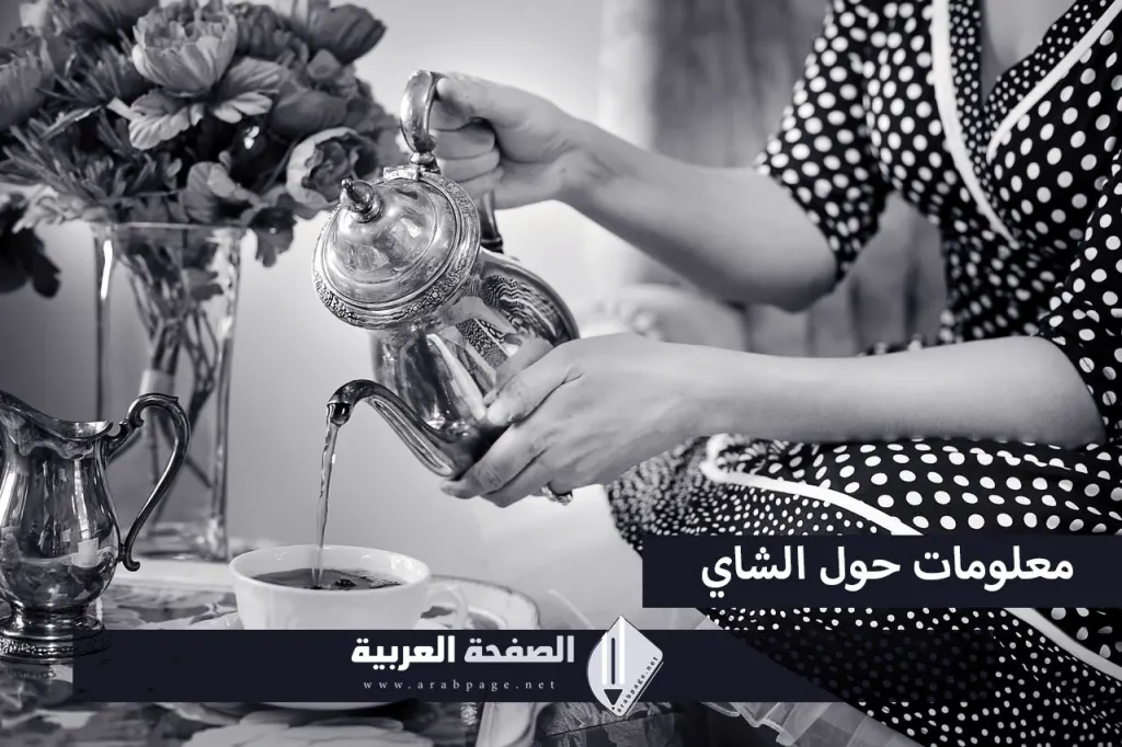 فيما يلي ثلاث فوائد مدهشة للشاي: فيما يلي ثلاث فوائد مدهشة للشاي: