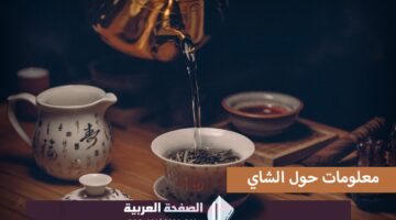 اليوم العالمي للشاي معلومات عن الشاي تعرف على الشاي الاخضر الأسود الأحمر