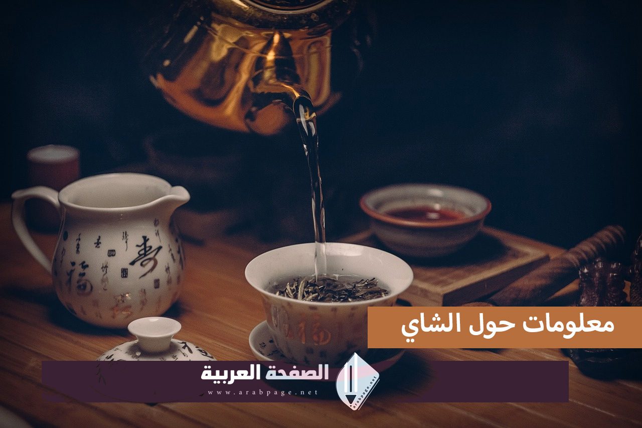 اليوم العالمي للشاي معلومات عن الشاي تعرف على الشاي الاخضر الأسود الأحمر 4