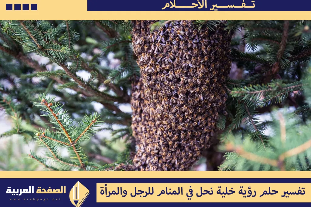 تفسير حلم رؤية خلية النحل
