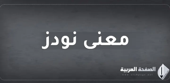 معنى نودز وماهو أصل كلمة نودز nodz or nodes