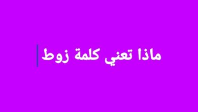 معنى كلمة زوط ماتعني كلمة زوط في السعودية السودان العرب