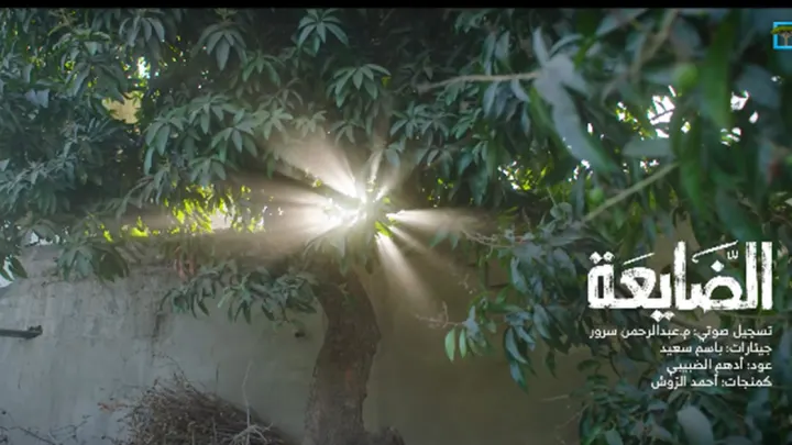 مسلسل الضايعة