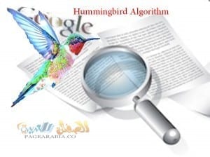 الخروج من قوقل الطنان الرنان Hummingbird Algorithm