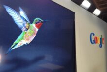 Hummingbird Algorithm – خوارزمية الطائر الطنان معلومات