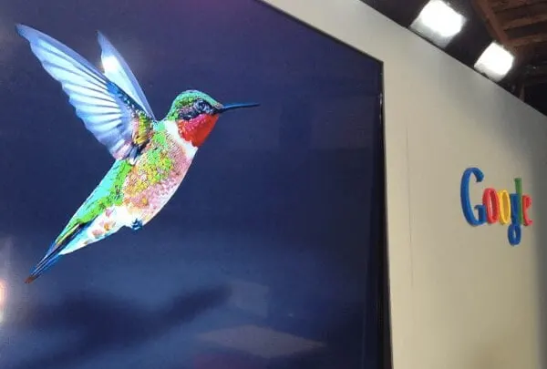 Hummingbird Algorithm – خوارزمية الطائر الطنان معلومات